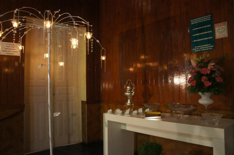 Larissa Vieira Rosa Pink