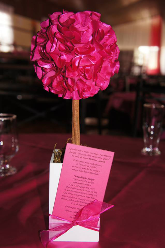 Larissa Vieira Rosa Pink