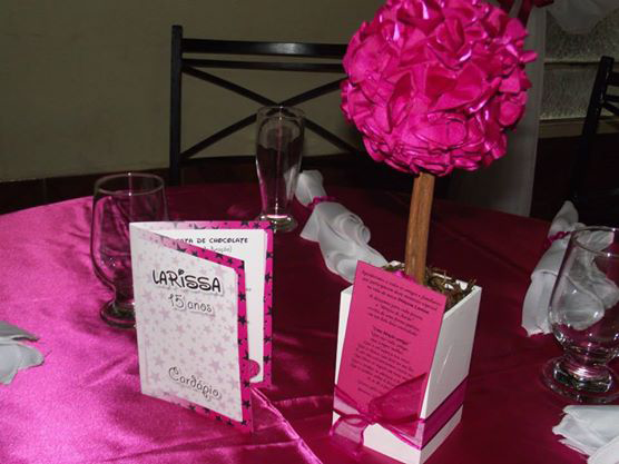 Larissa Vieira Rosa Pink