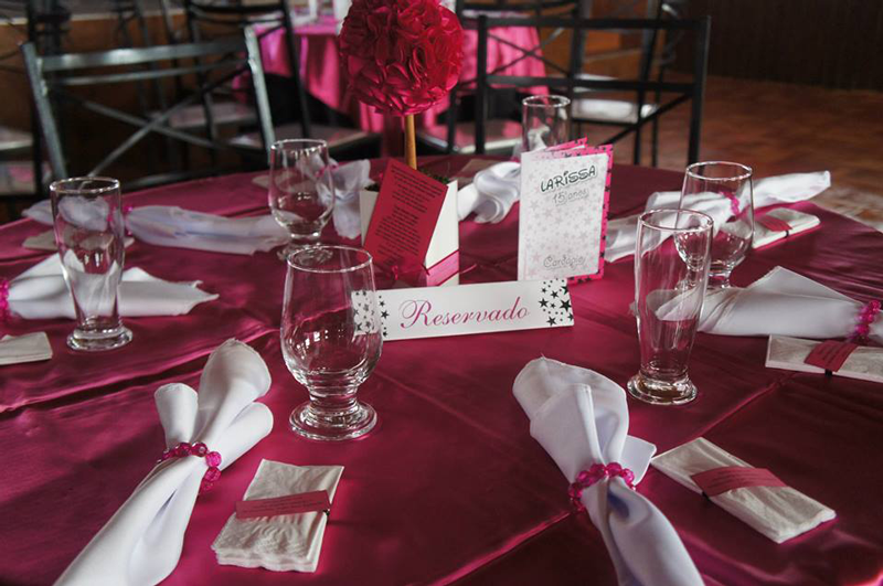 Larissa Vieira Rosa Pink