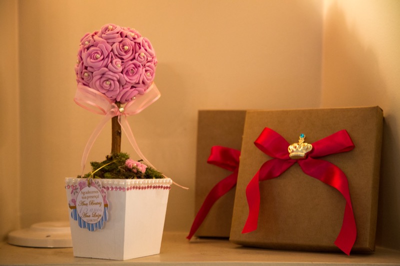 Festa de 15 anos das gêmeas Ana Beatriz e Ana Luiza