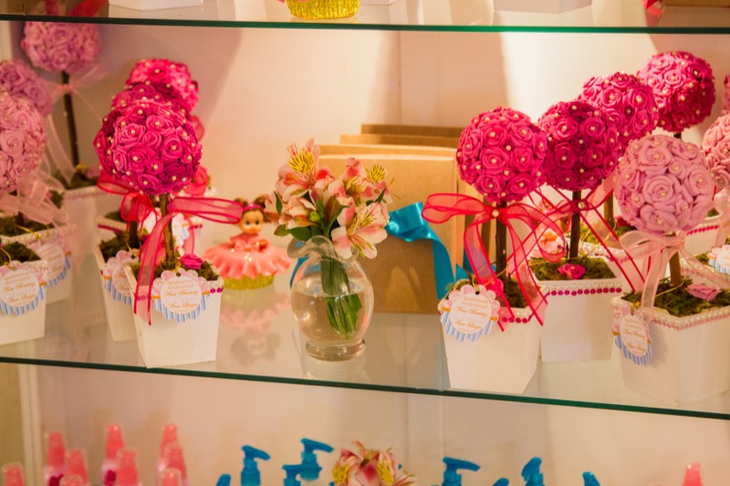 Festa de 15 anos das gêmeas Ana Beatriz e Ana Luiza