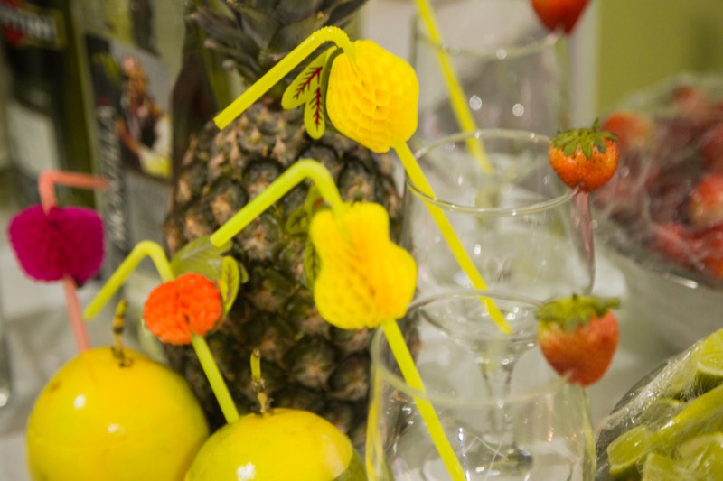 Festa de 15 anos das gêmeas Ana Beatriz e Ana Luiza